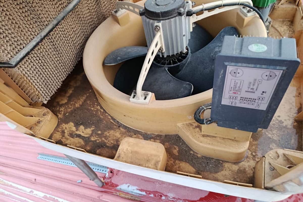 limpieza humificadores evaporativos